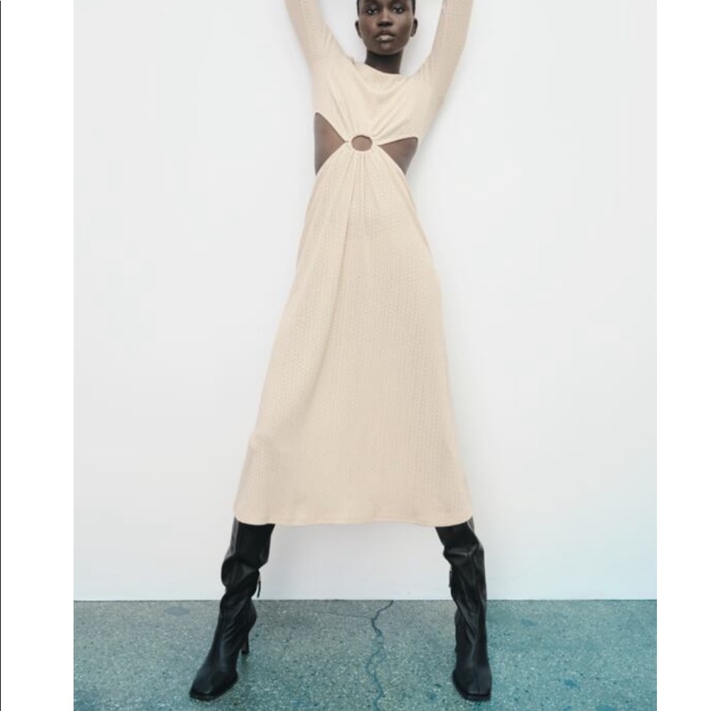 NWT Zara Soft Cutout Dress